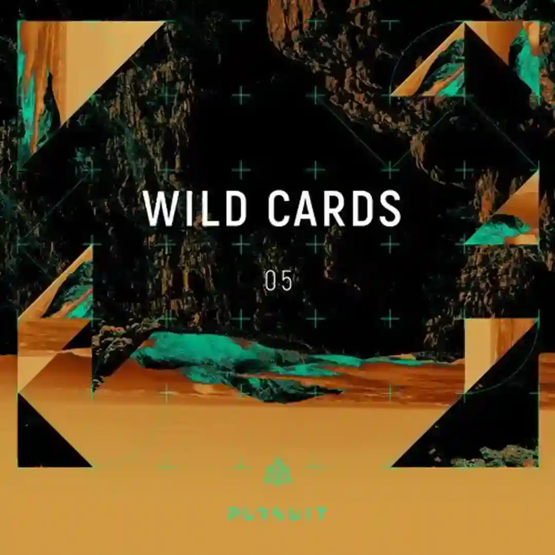 Wild Cards 05 cover