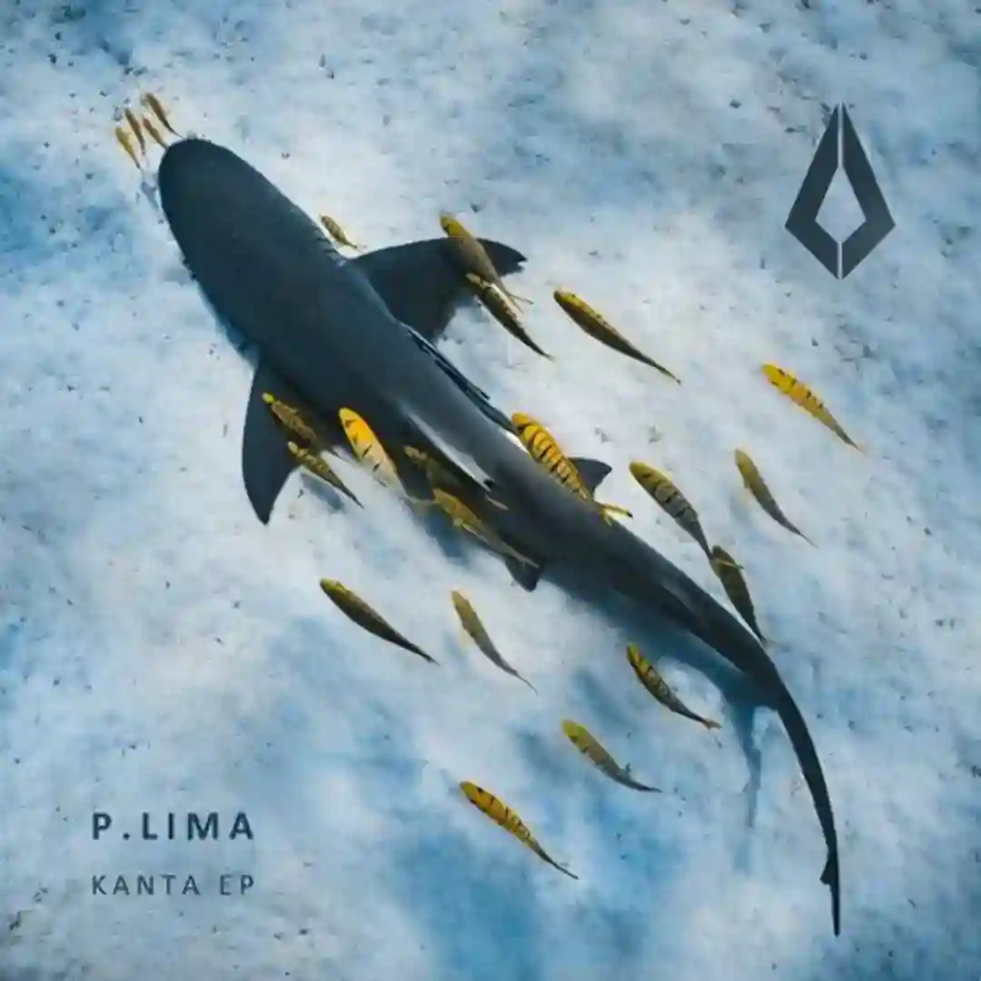 Kanta cover