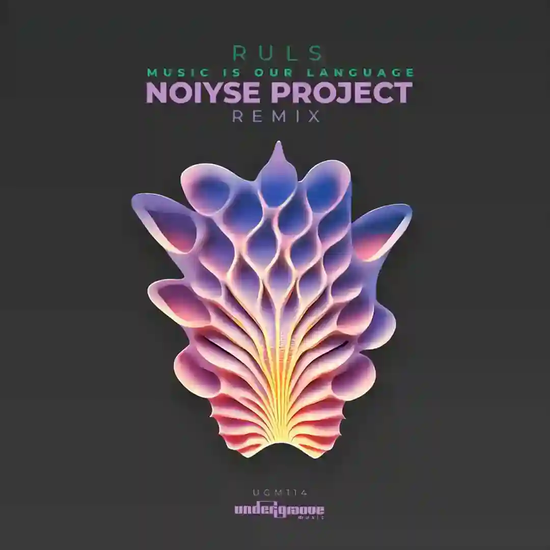 Music Is Our Language (Noiyse Project Remix) cover