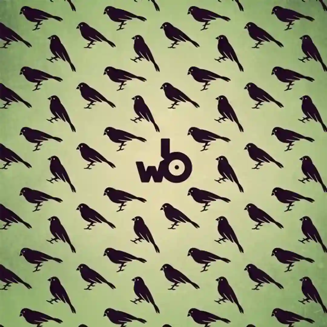 Agent Provocateur (Ben Rau Remix) cover