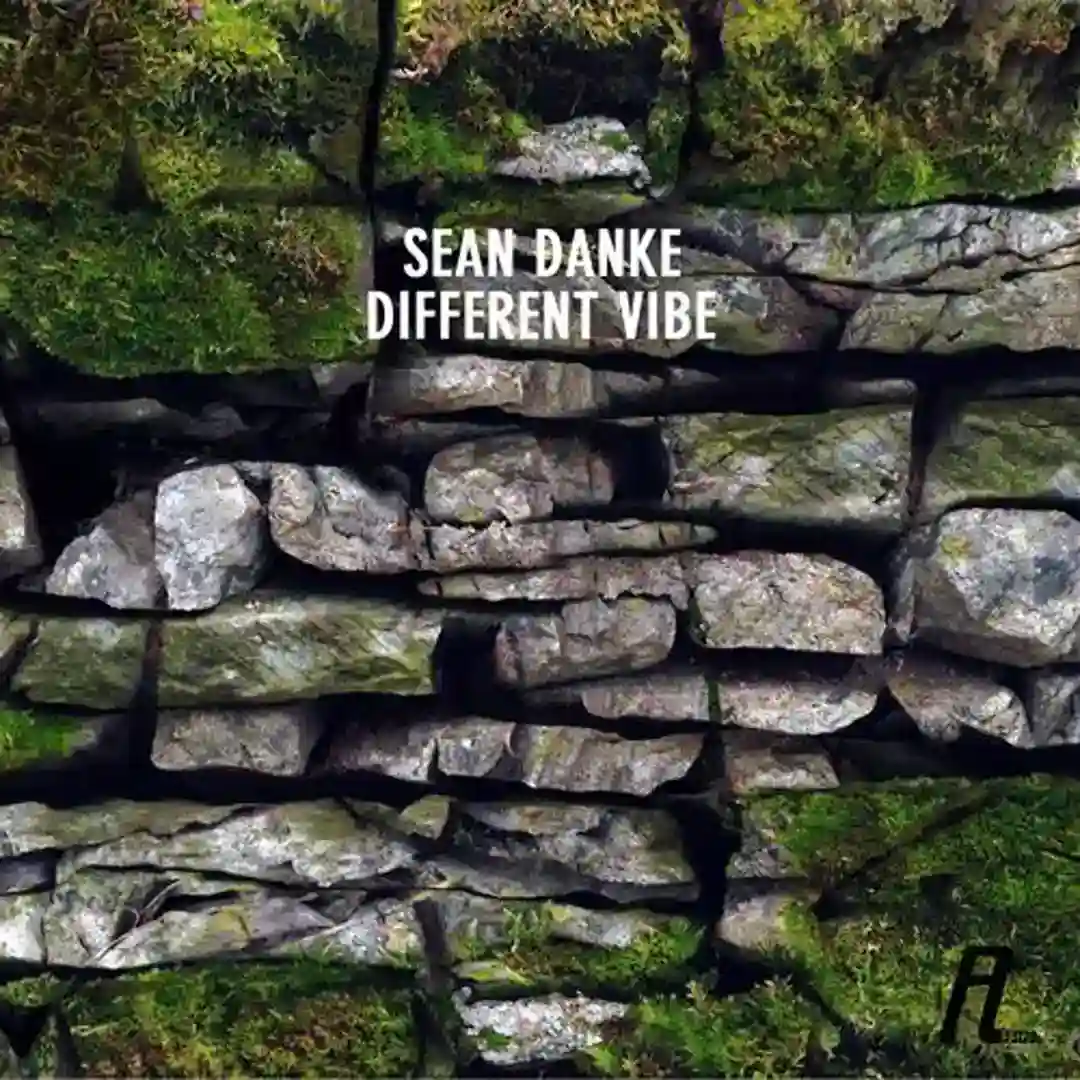 Different Vibes (Angelo Mele Remix) cover