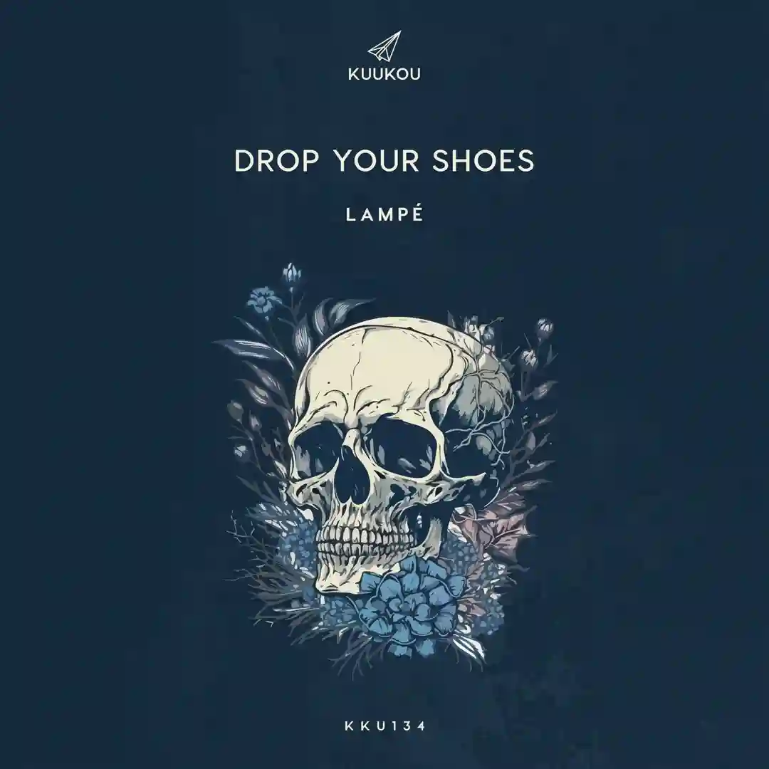 Drop your shoes cover