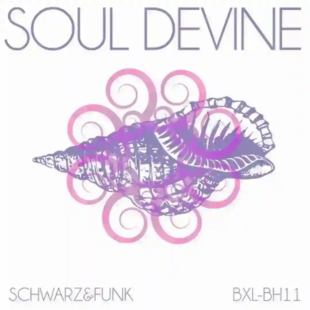 Soul Devine (Beach House Mix) cover