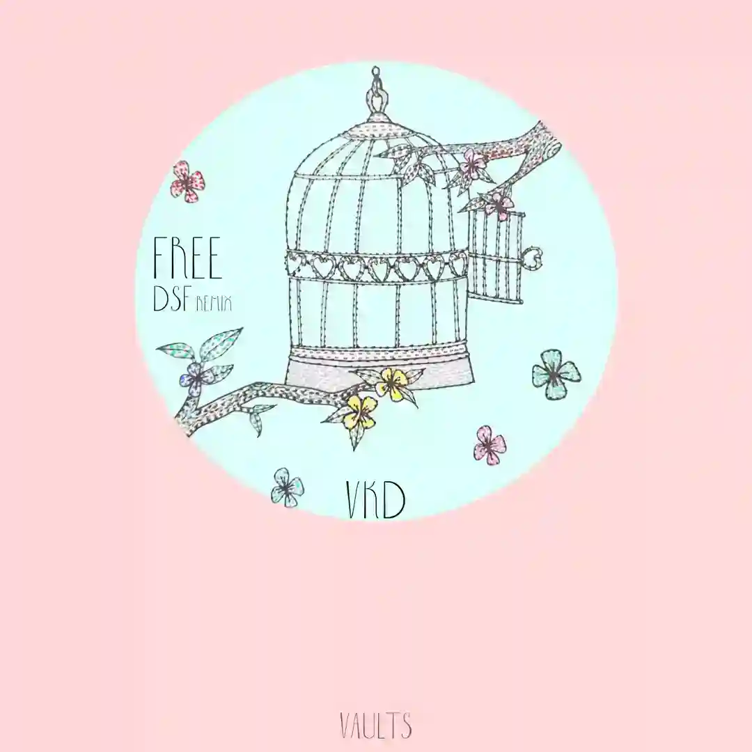 Free (DSF Remix) cover