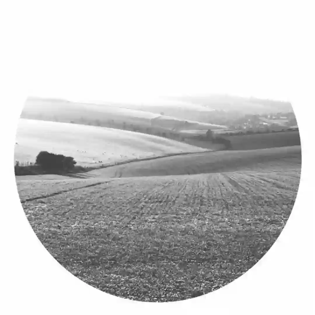 Tide (Luis Leon Rework) cover