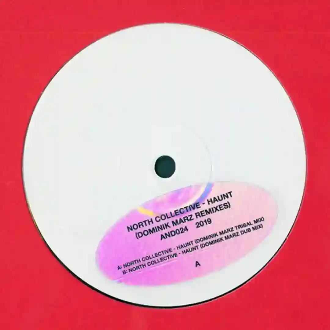 Haunt (Dominik Marz Remixes) cover