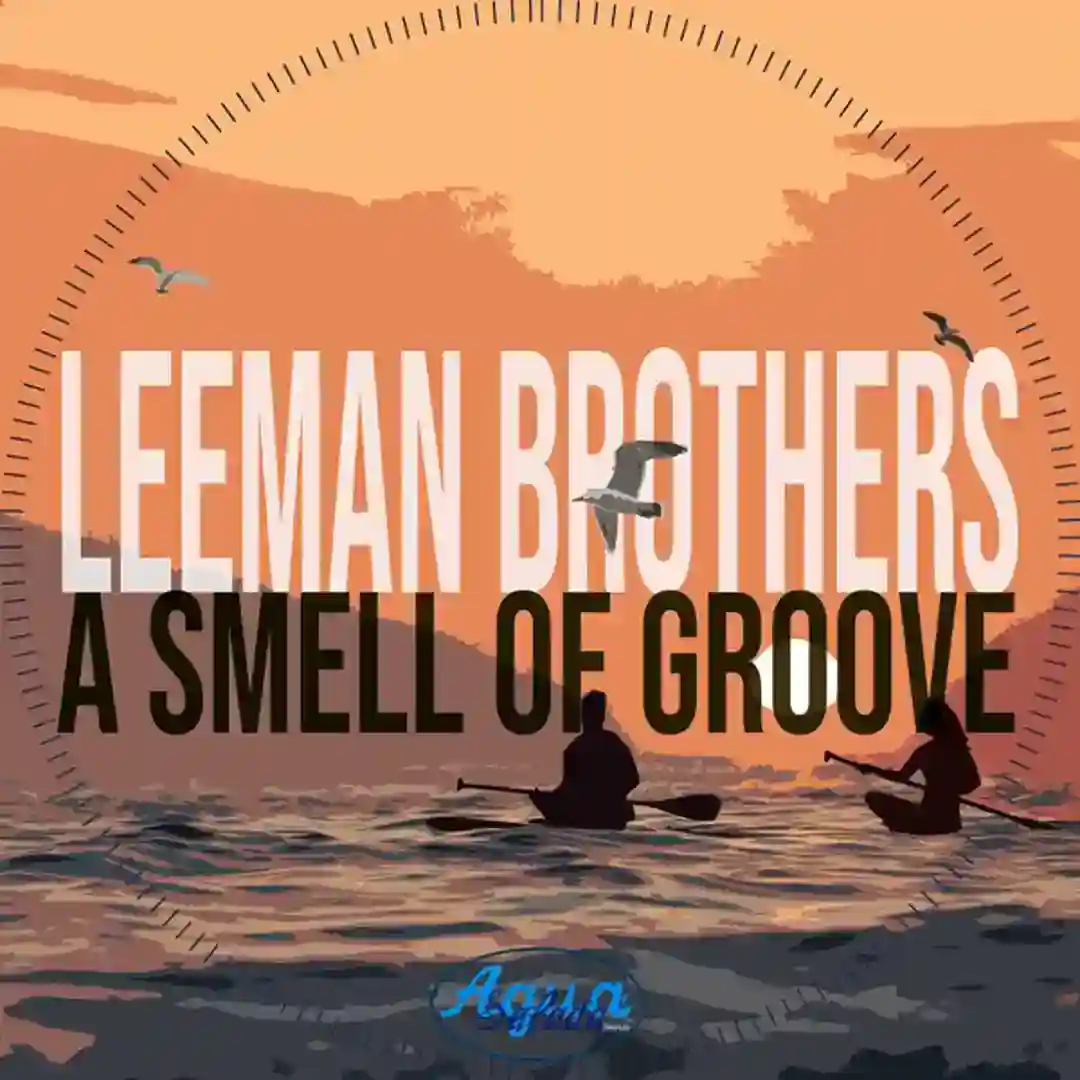 A Smell of Groove (TshegoTMM Remix) cover