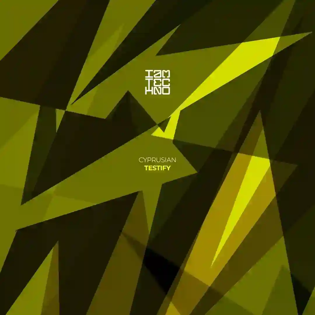 Project (Original Mix) cover
