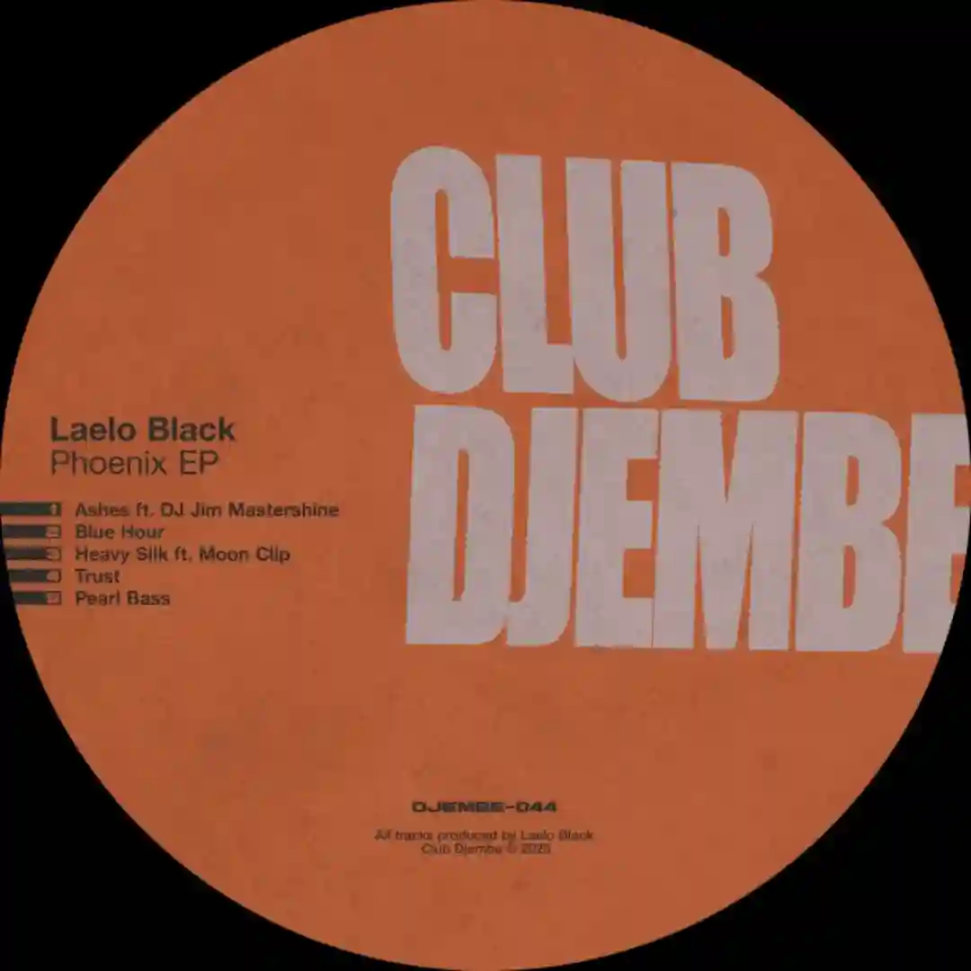 Heavy Silk (feat. Moon Clip) (Original Mix) cover