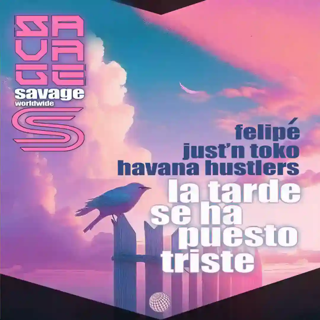 La Tarde Se Ha Puesto Triste (Original Mix) cover