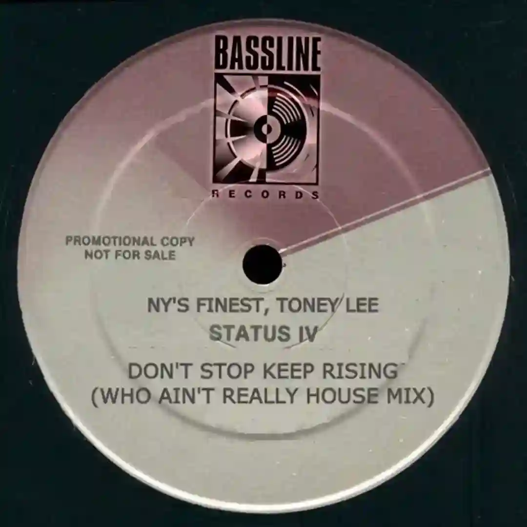 Don't Stop Keep Rising (Who Ain't Really House Mix) cover