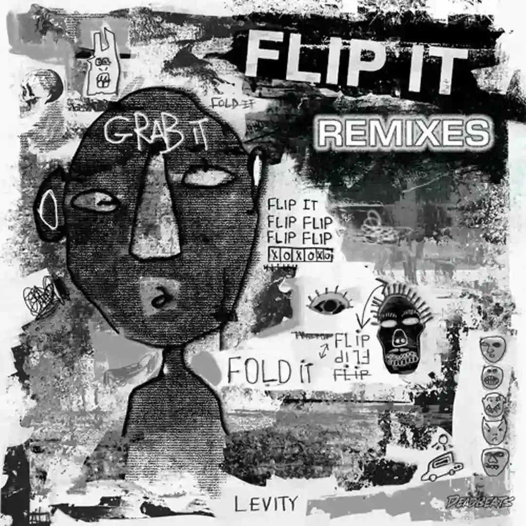 Flip It (Chez x pheel. Remix) cover
