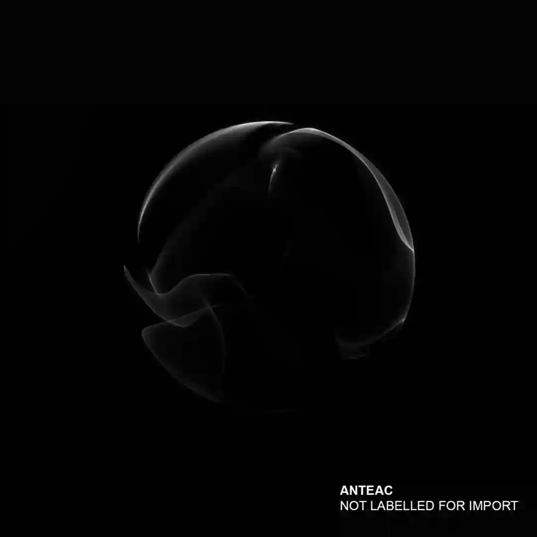 Not Labelled For Import (Original Mix) cover