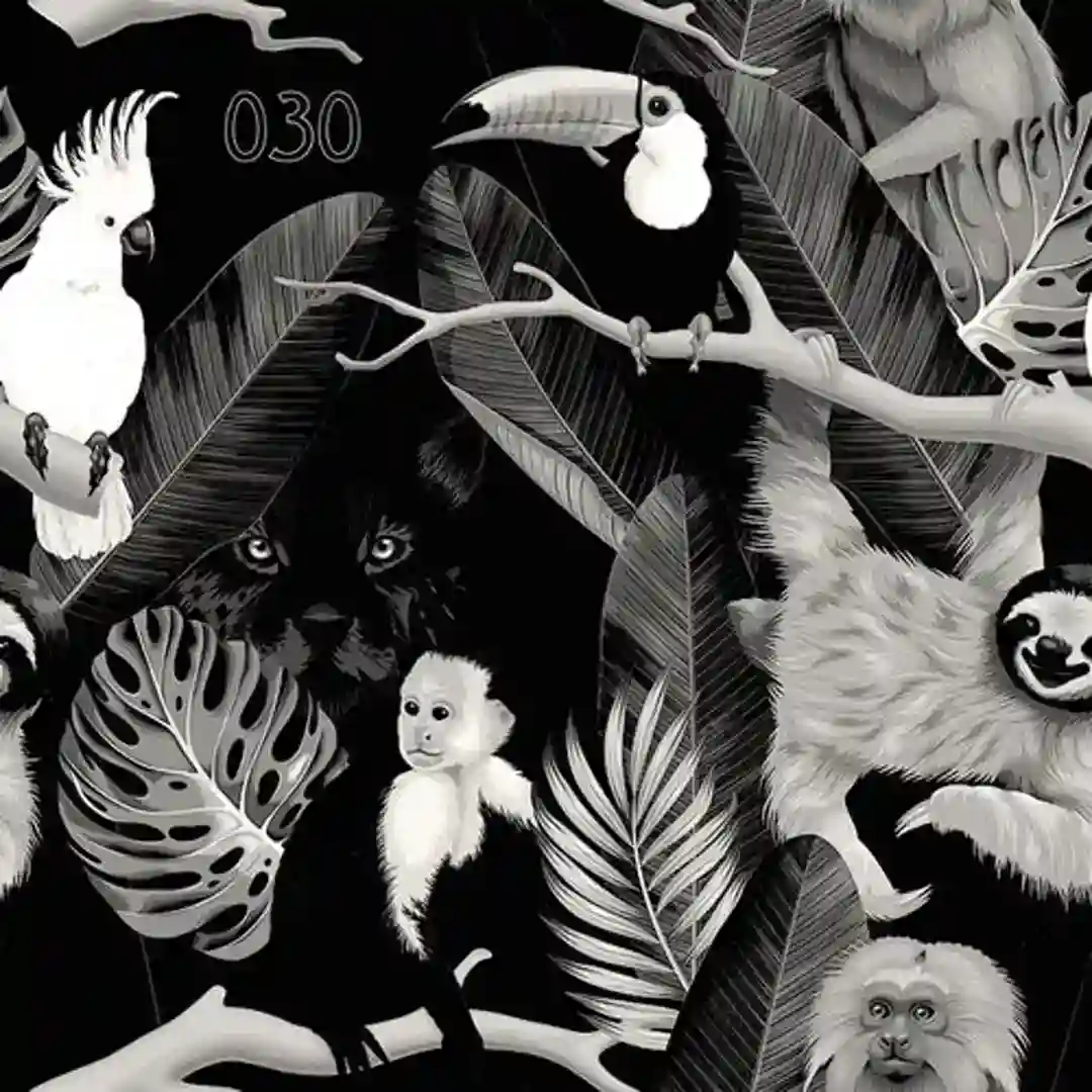 Mandejema cover