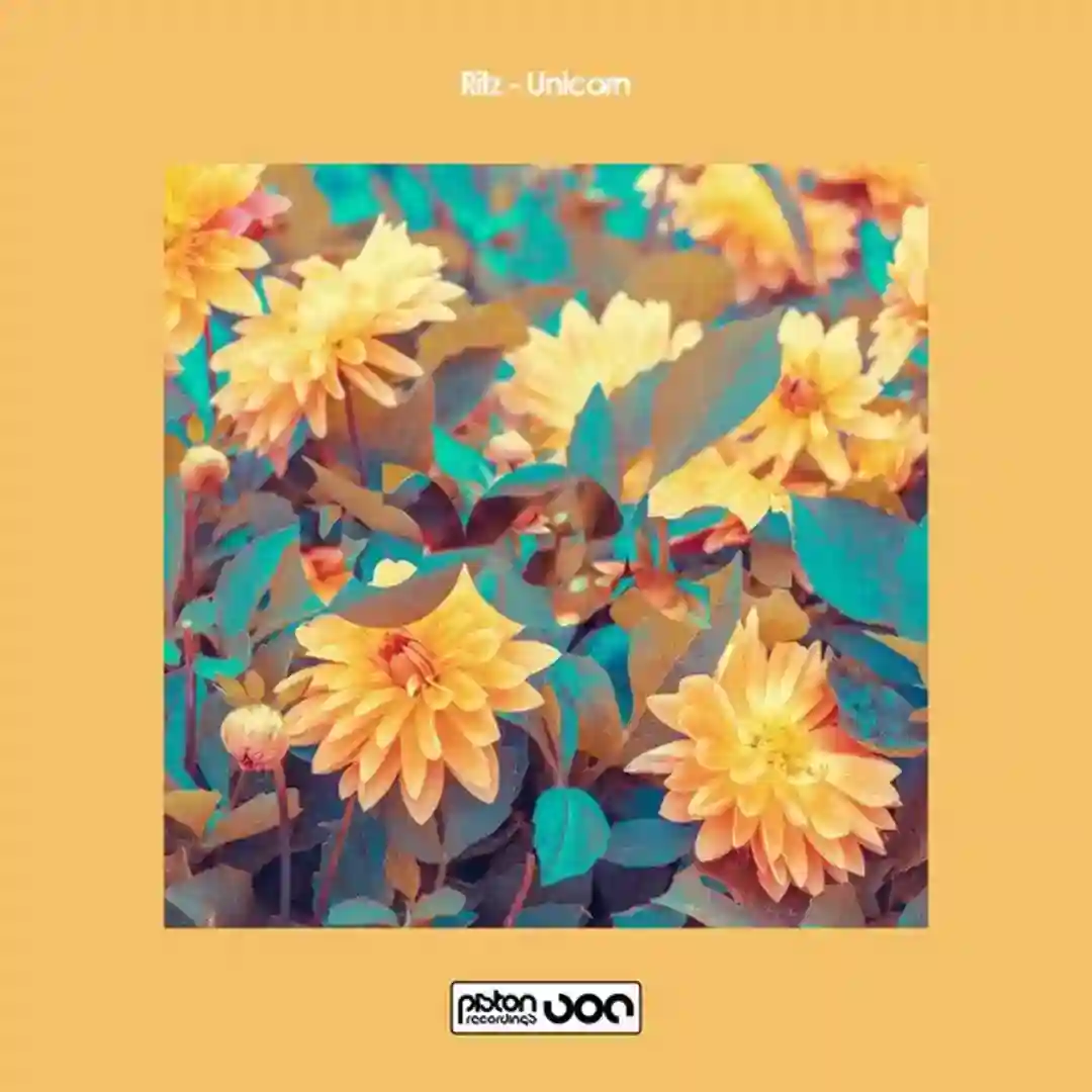 Unicorn II (Original Mix) cover