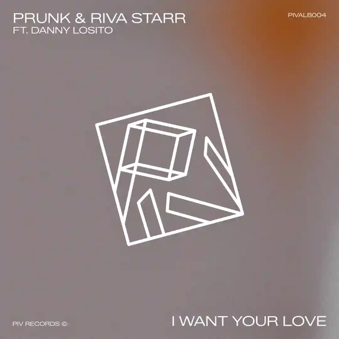 I Want Your Love cover