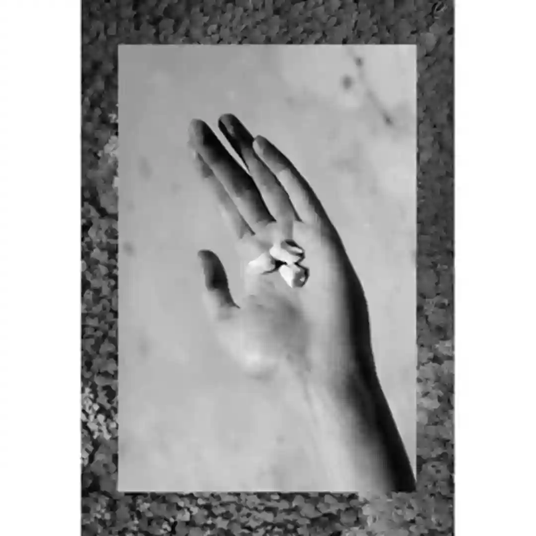 The Tributary cover