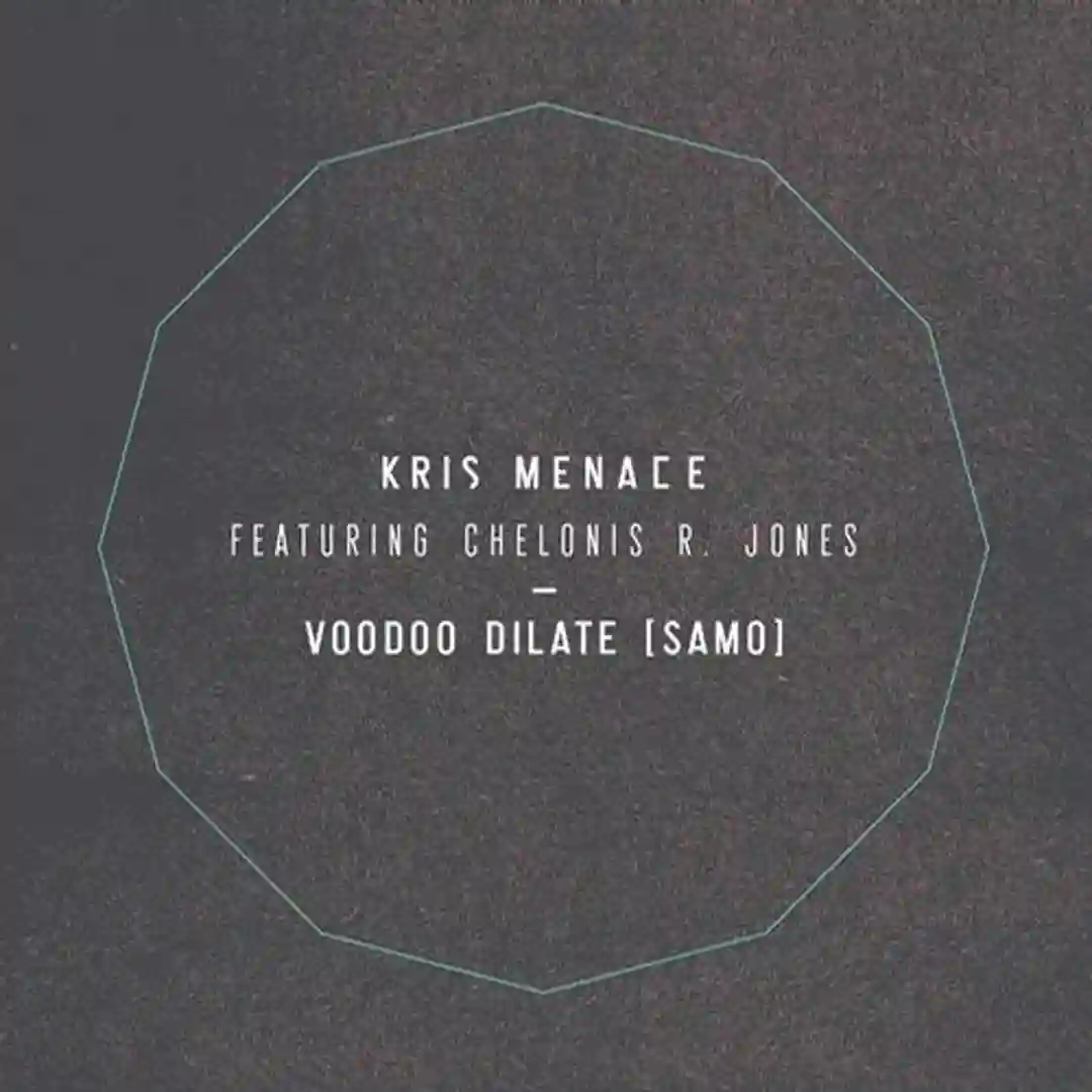 Voodoo Dilate (SAMO) feat CHELONIS R. JONES (Thomas Schumacher Remix) cover