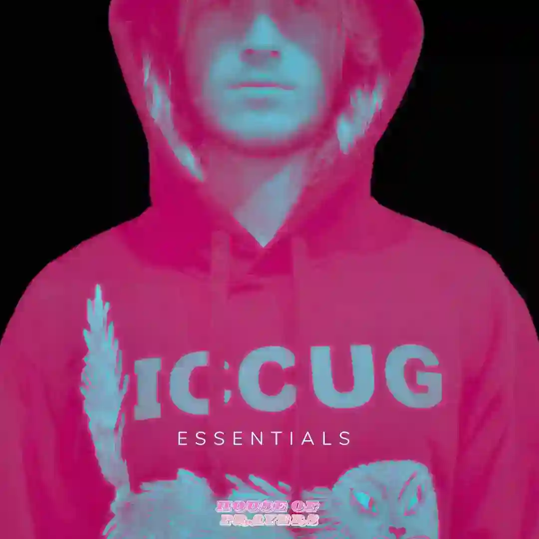 Got the Love (House of Prayers Remix) cover