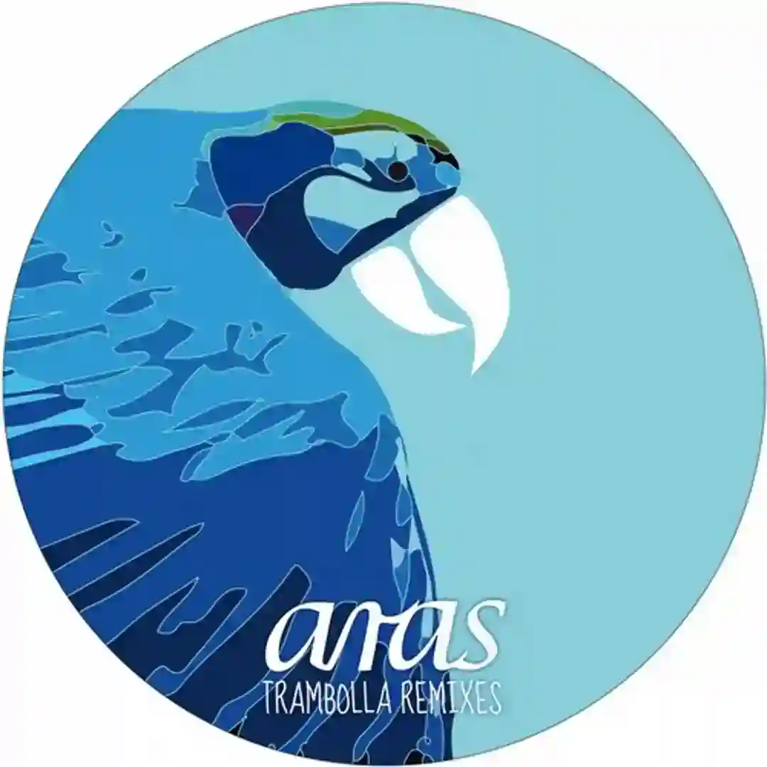 Trambolla (Daniel Stefanik Remix) cover