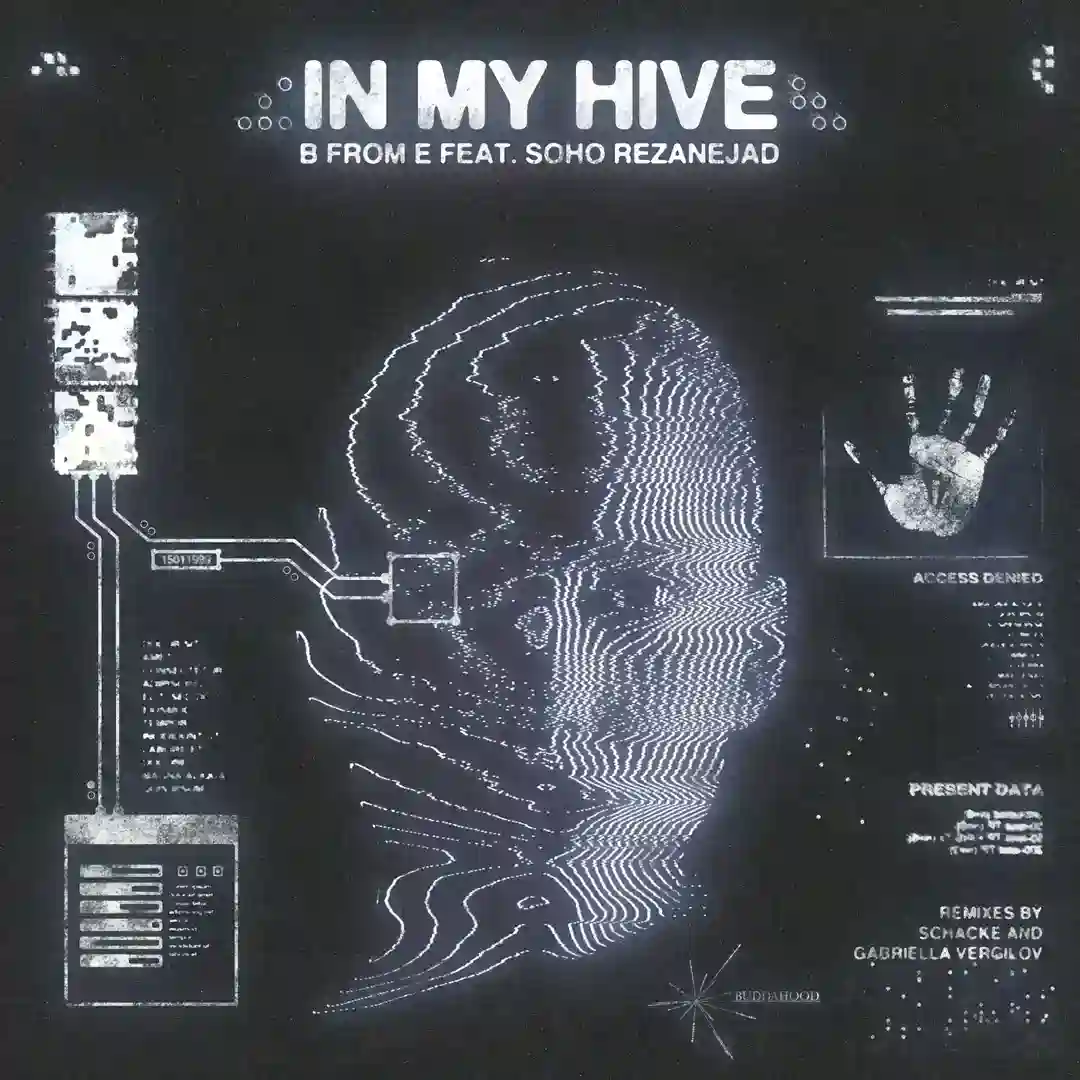 In My Hive feat. Soho Rezanejad feat. Schacke (Schacke's Hivemind Mix) cover