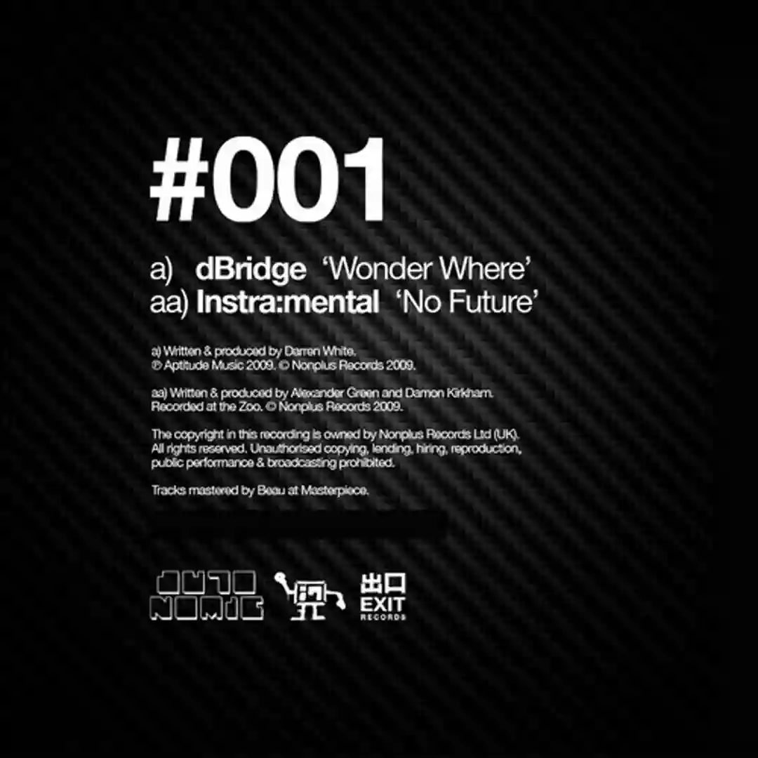 No Future (Original Mix) cover
