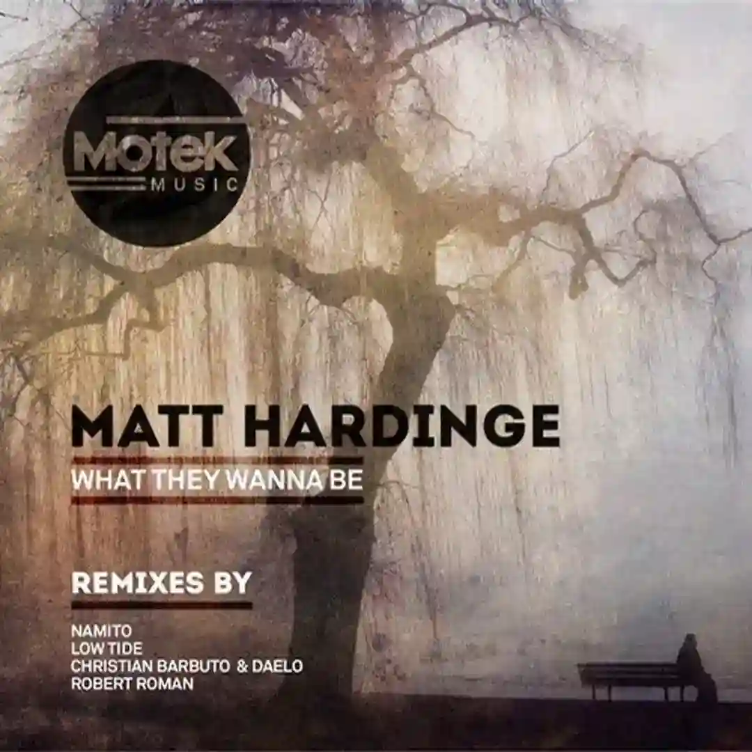 What They Wanna Be (Original Mix) cover