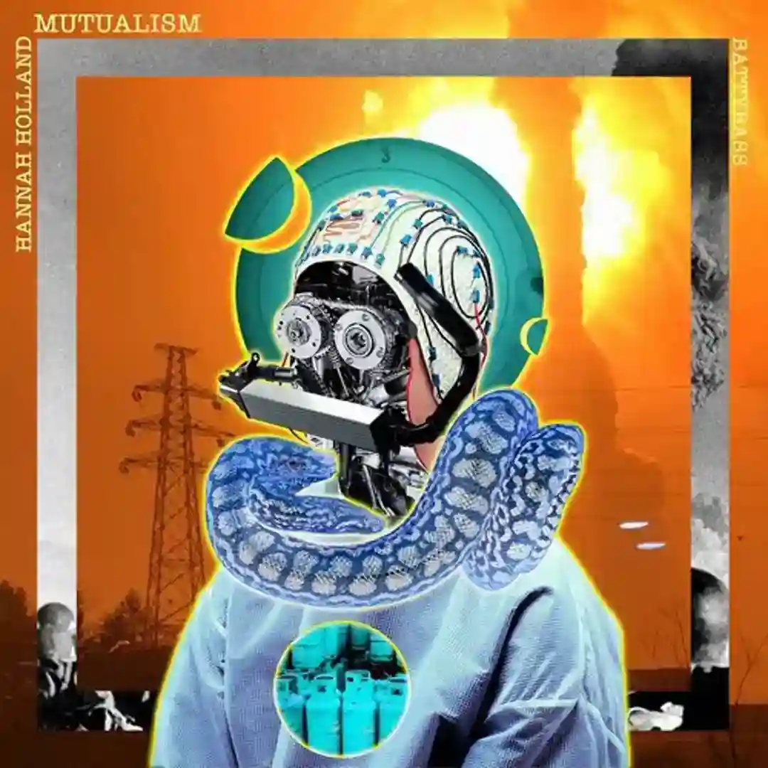 Mutualism (Original Mix) cover