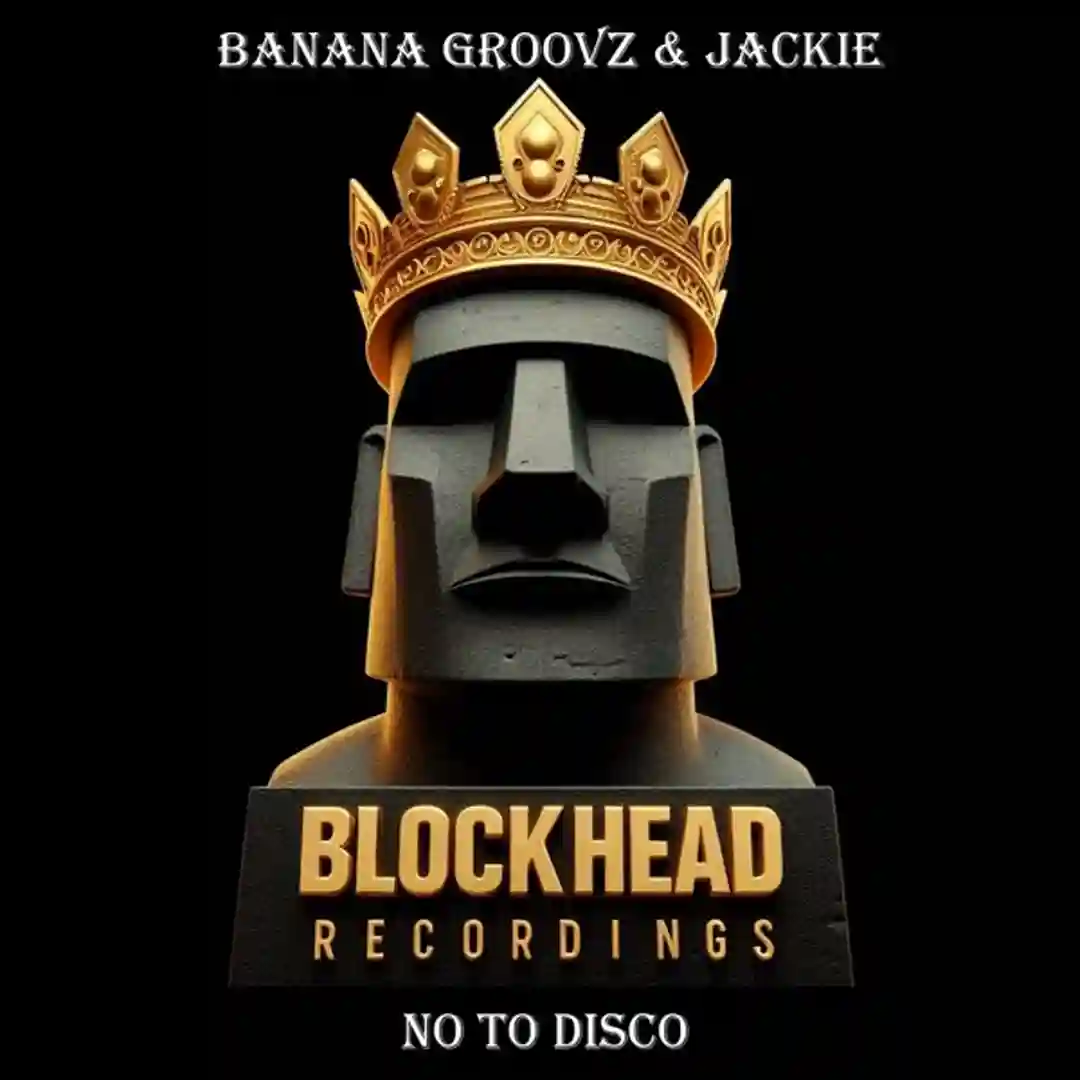 No To Disco cover