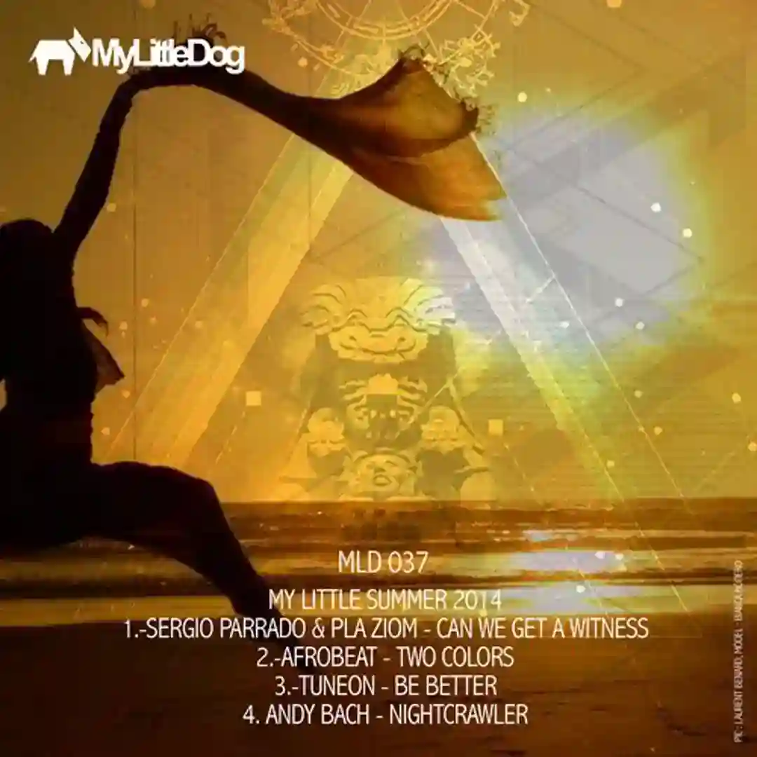 Can We Wet a Witness (Original Mix) cover