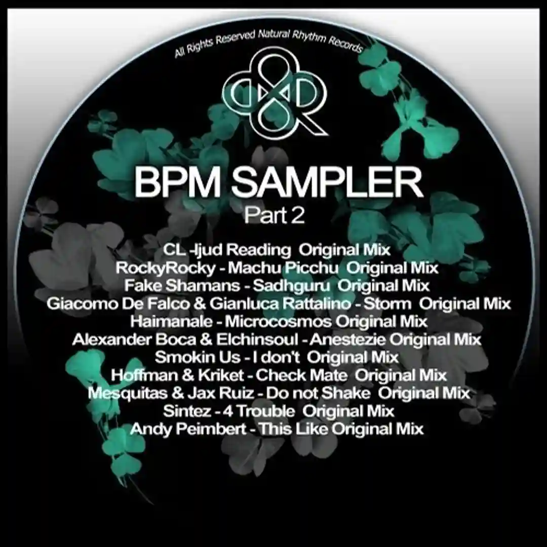 Bpm Sampler Mixed By (Original Mix) cover