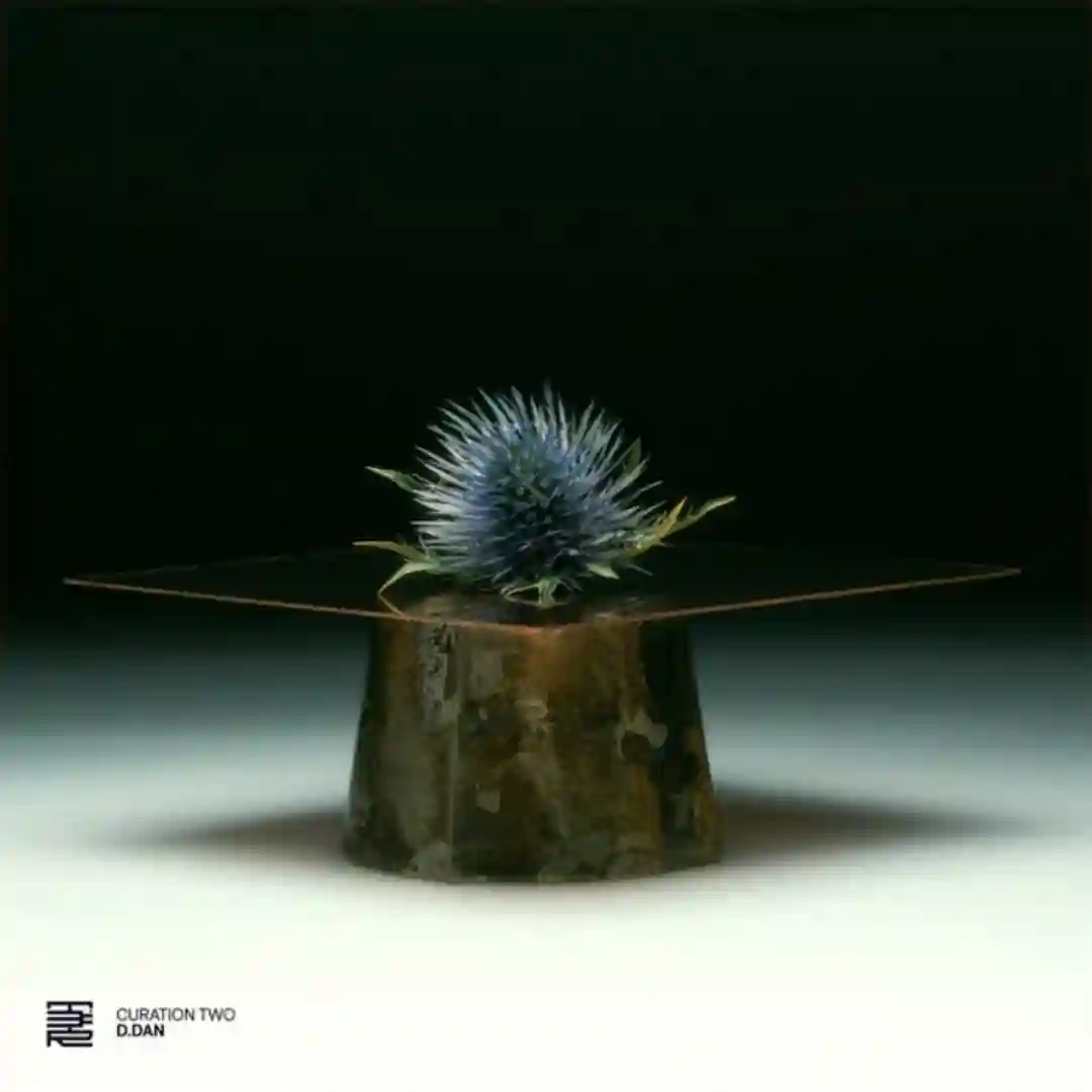 Curation Two: D.Dan cover