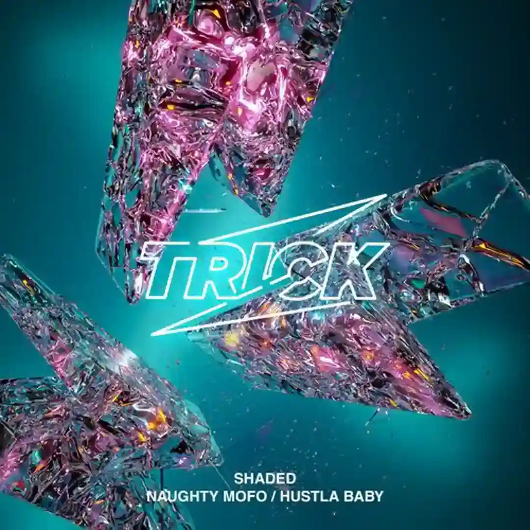 Naughty Mofo cover