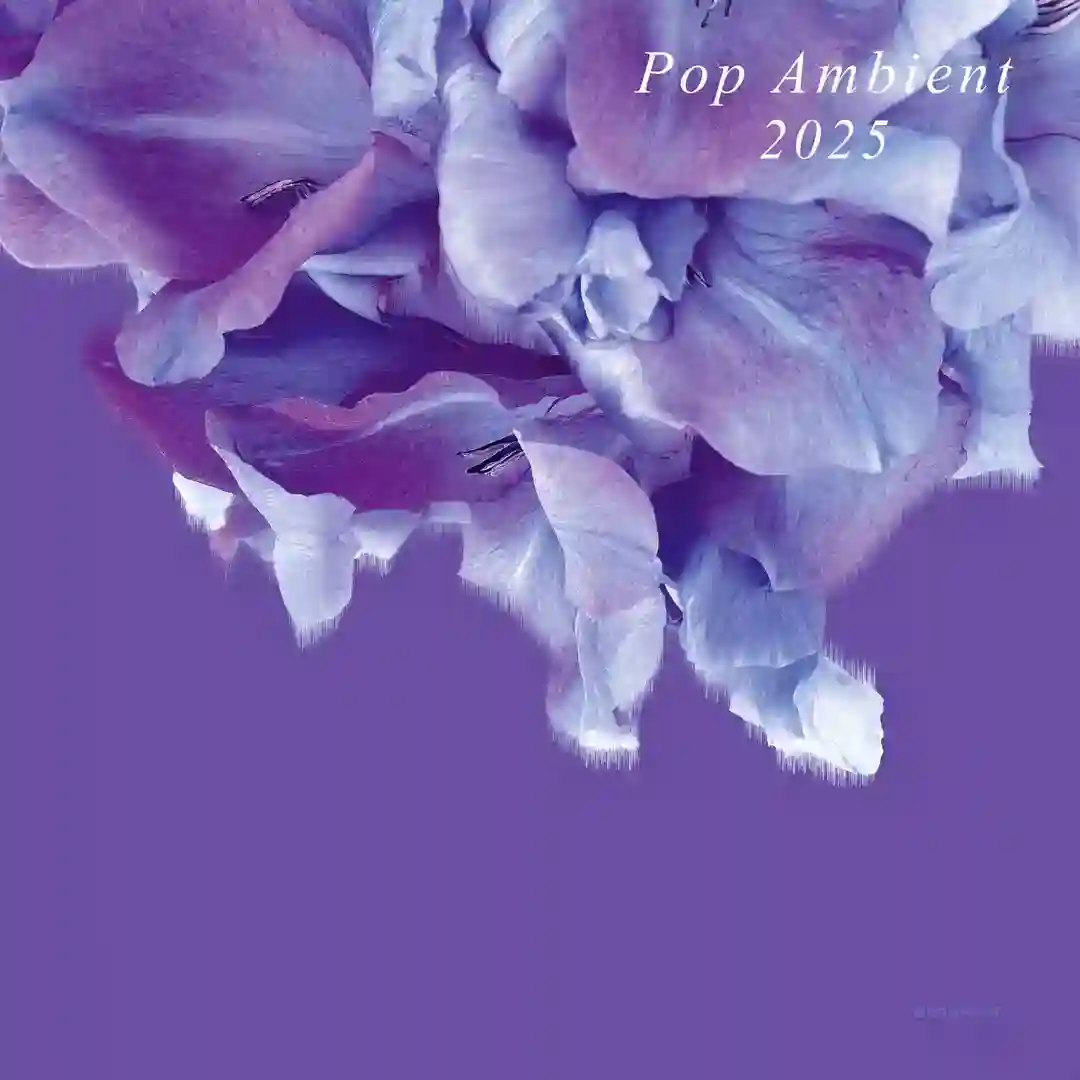 Phase Locked Loop 1 (Original Mix) cover
