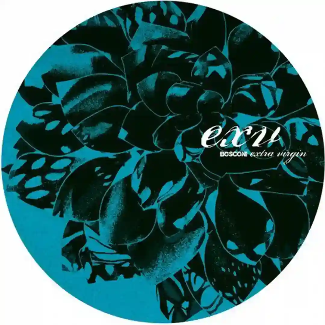 The New Stein (Original Mix) cover