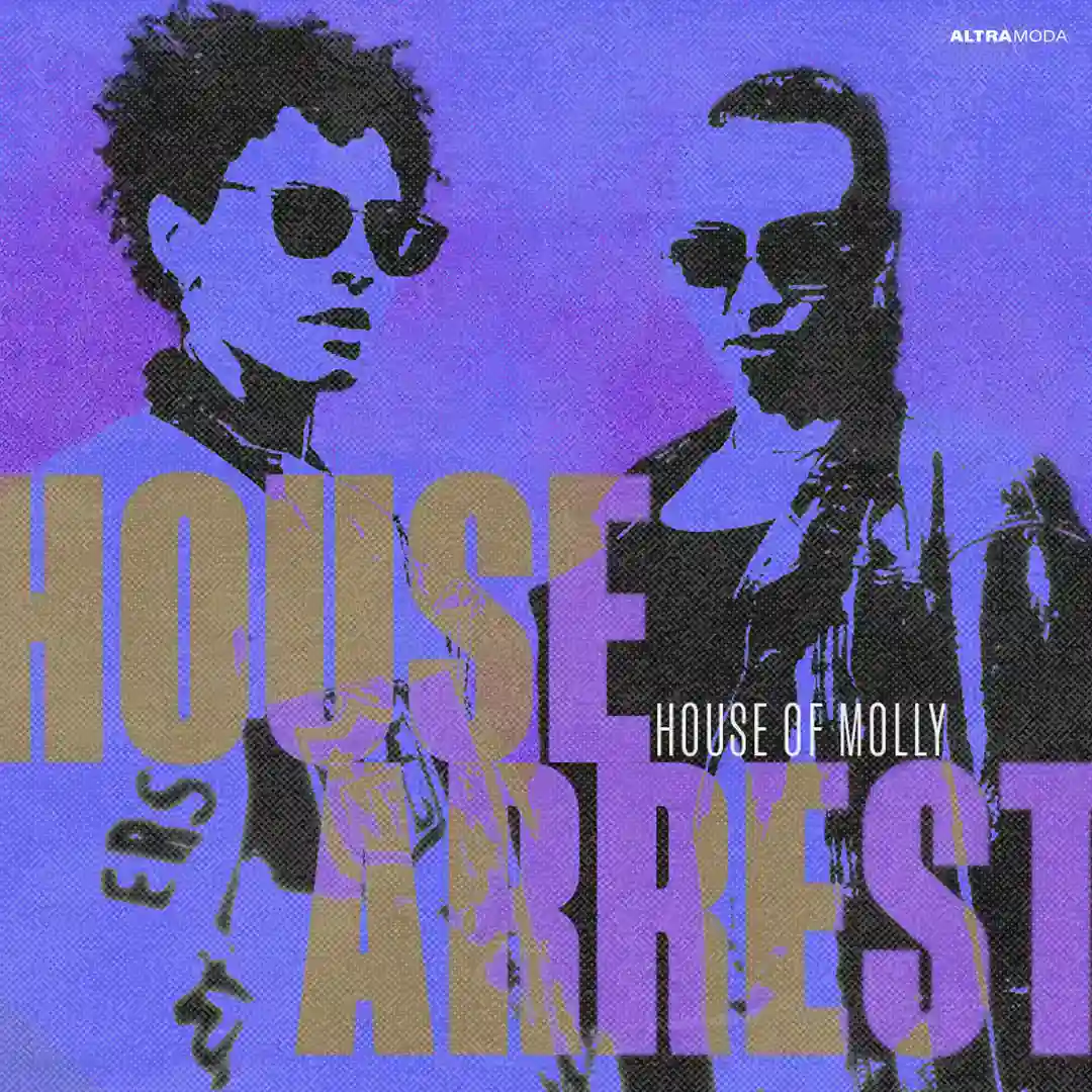 House Arrest (Club Mix) cover