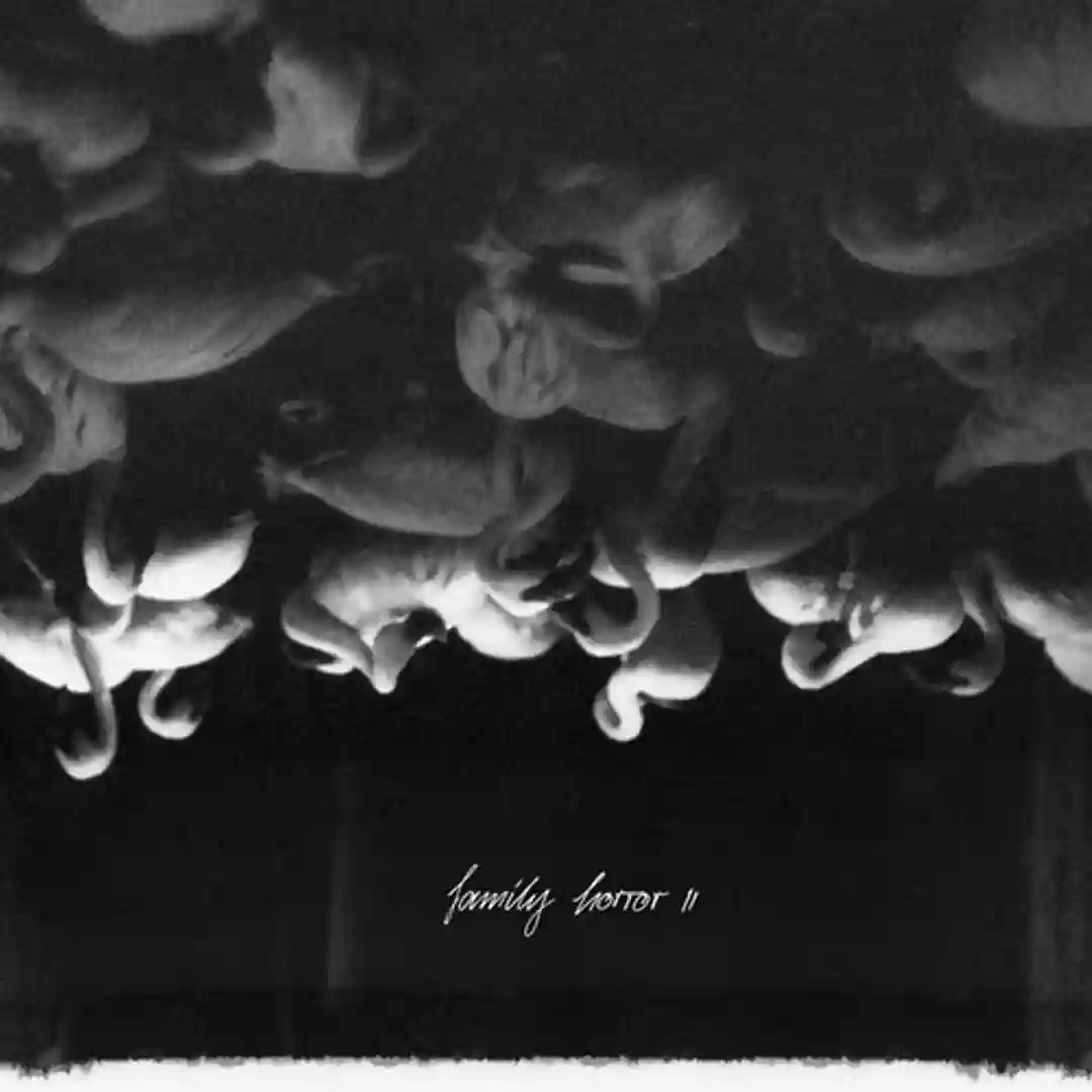 Kokobay (Original Mix) cover