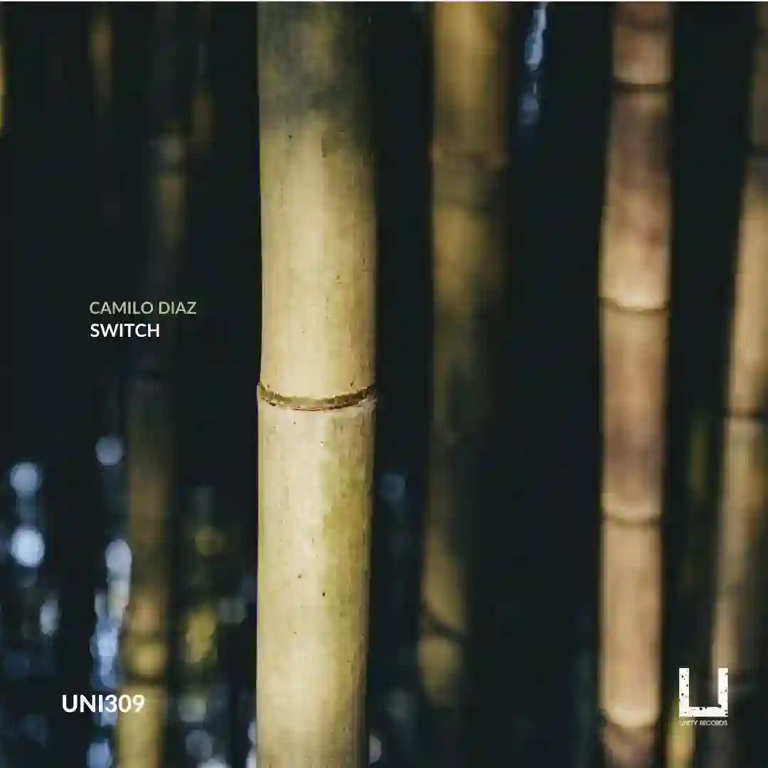 Kira (Original Mix) cover