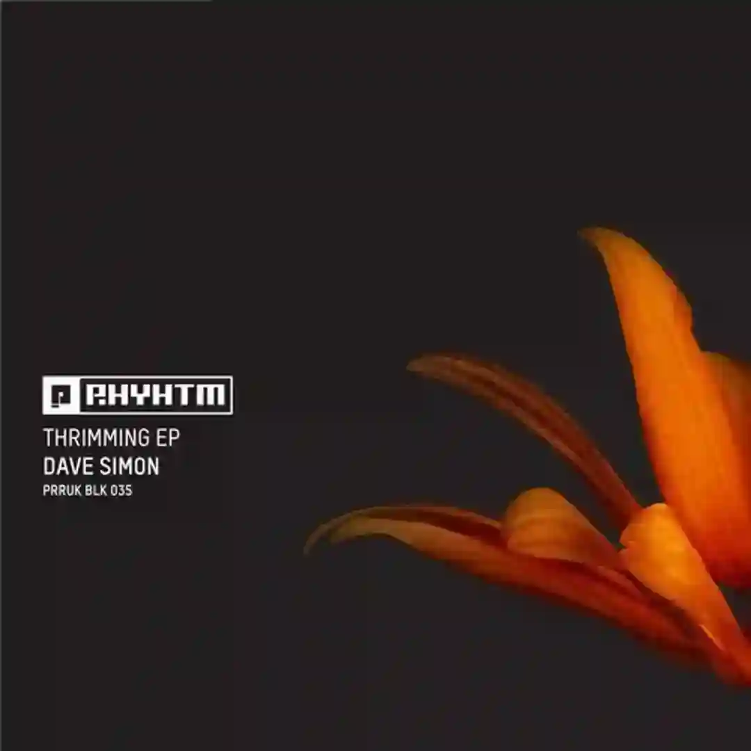 Build the Cam (Original Mix) cover