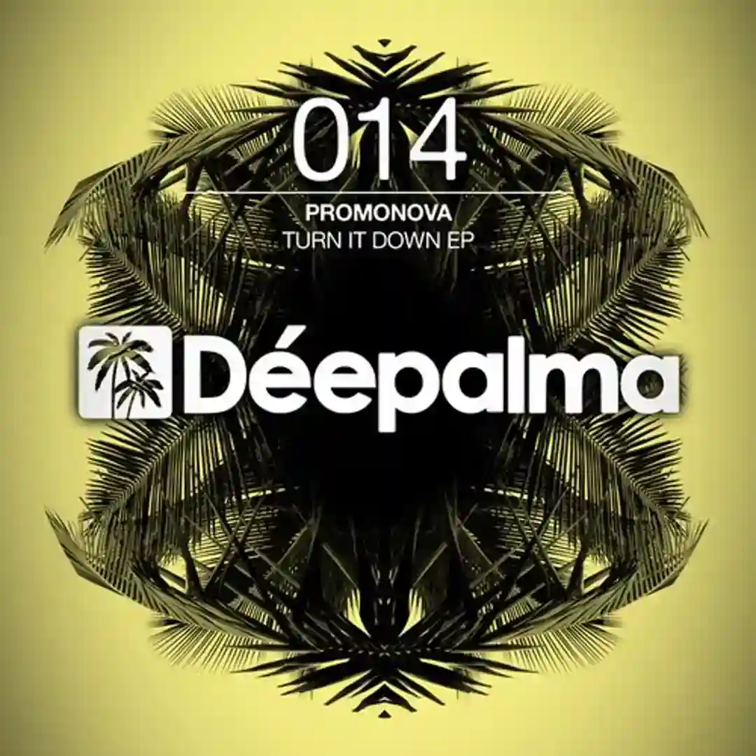 Turn It Down (Original Mix) cover