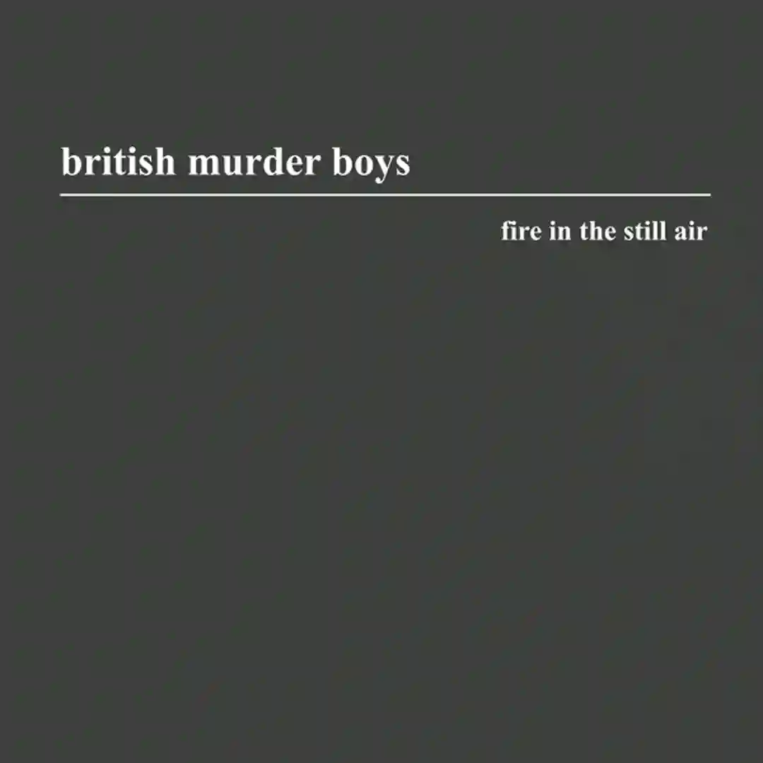 Fire In The Still Air cover
