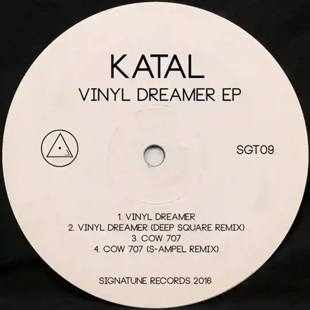 Vinyl Dreamer (Deep Square Remix) cover