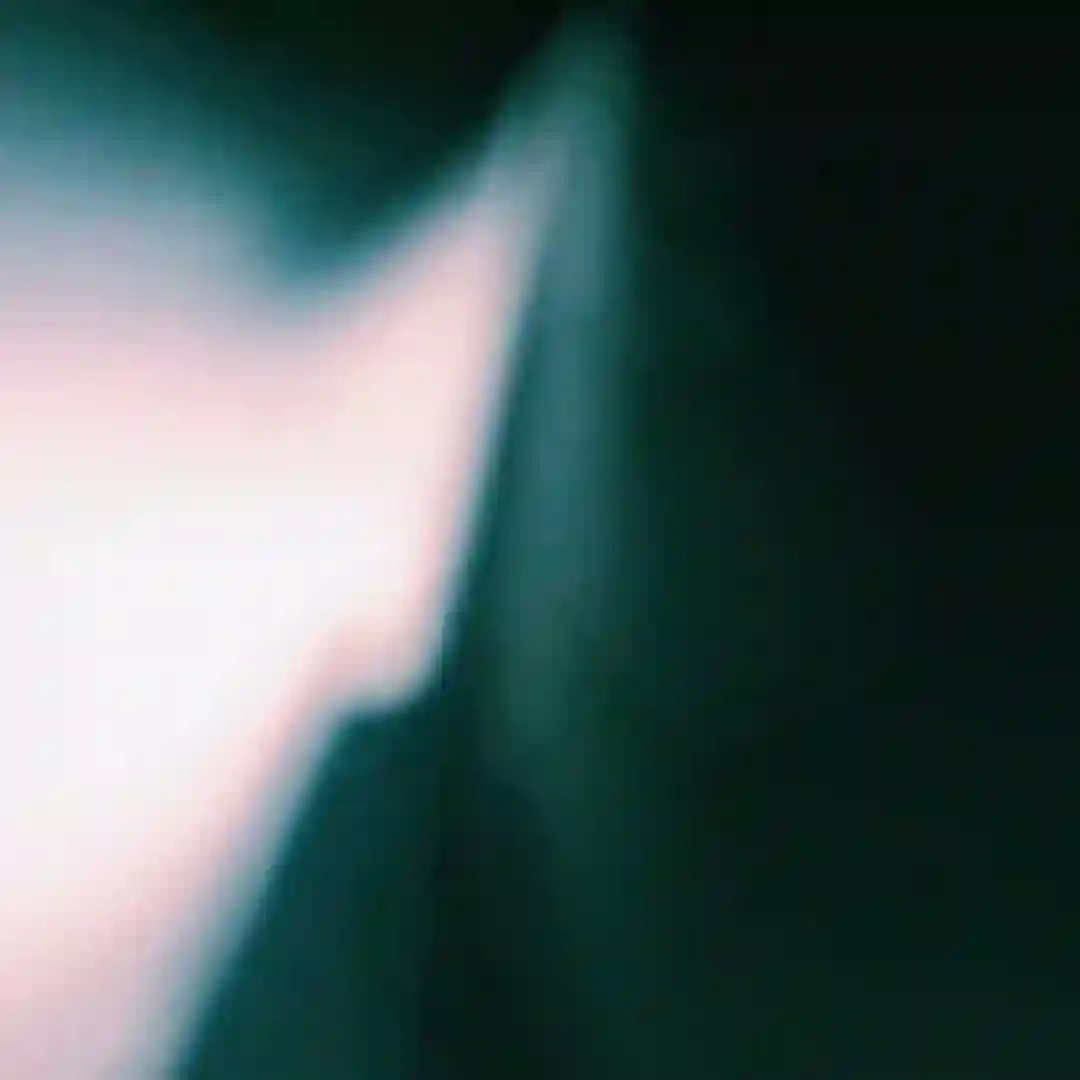 No Fear cover