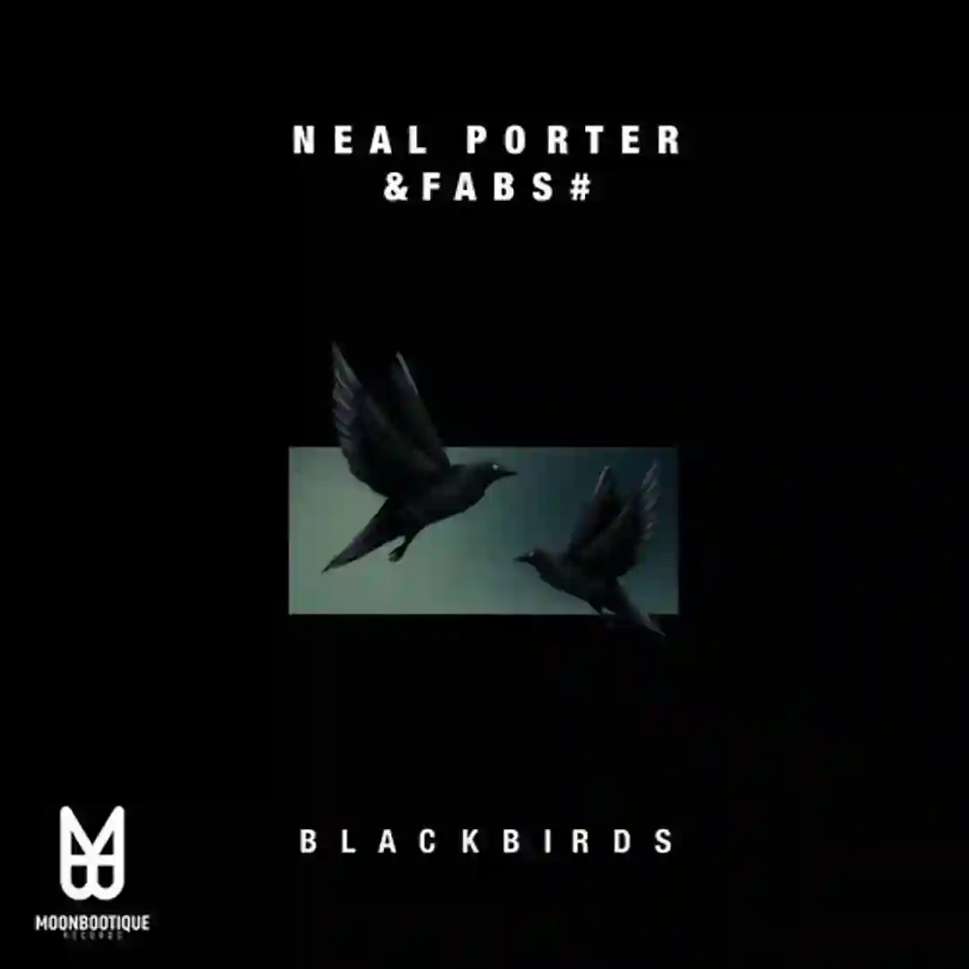 Blackbirds (The Glitz Remix) cover