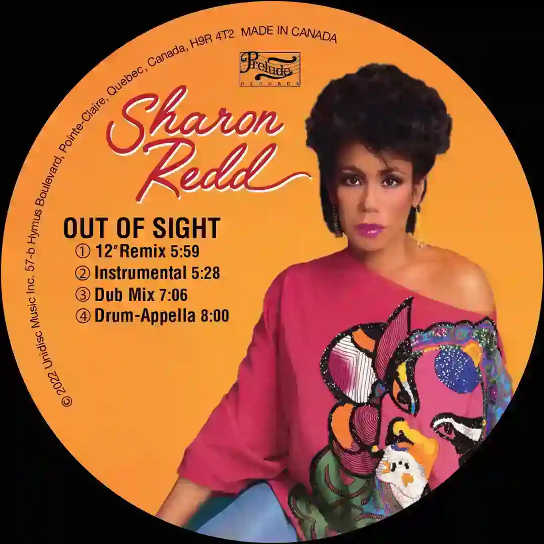 Out of Sight (Dub Mix) cover