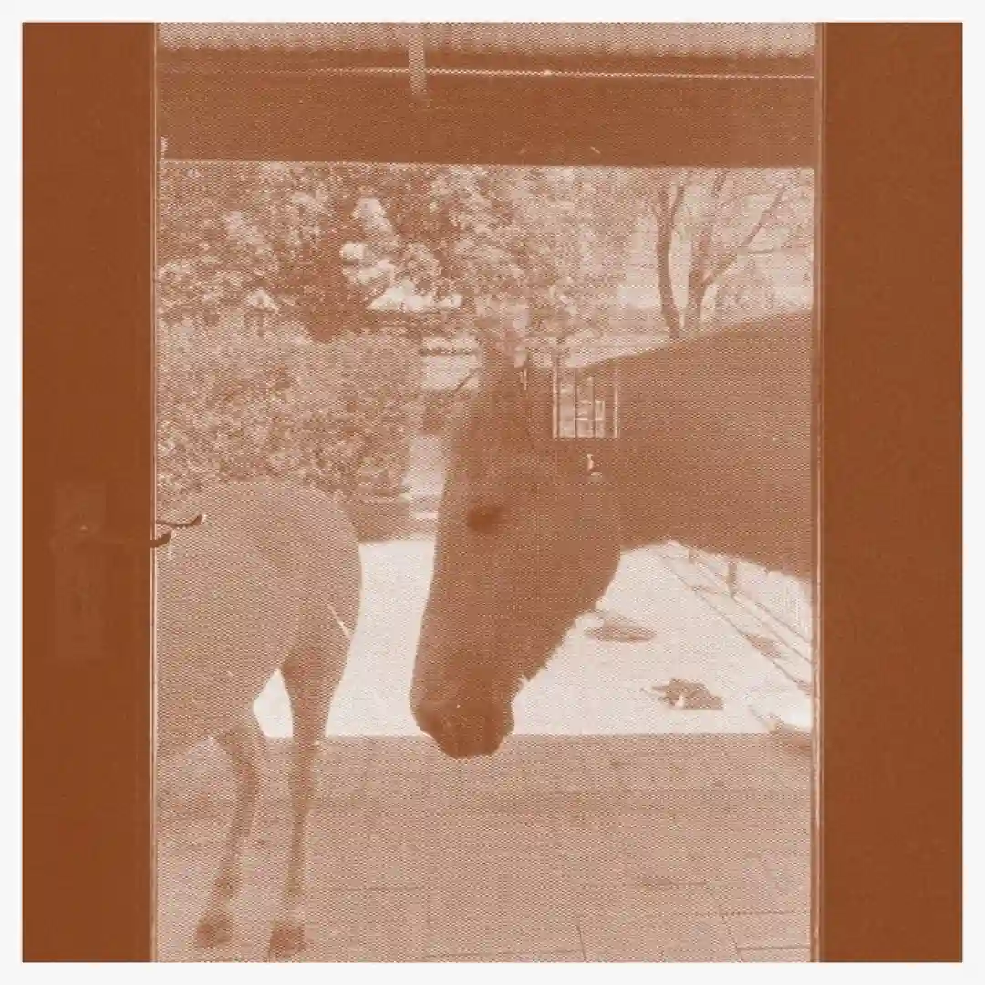 Suburban Dopamine II (Original Mix) cover
