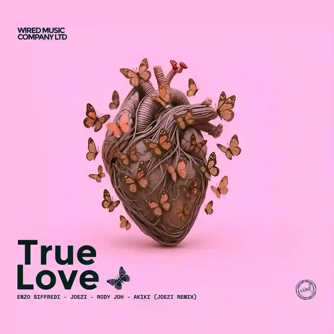 True Love Remix cover