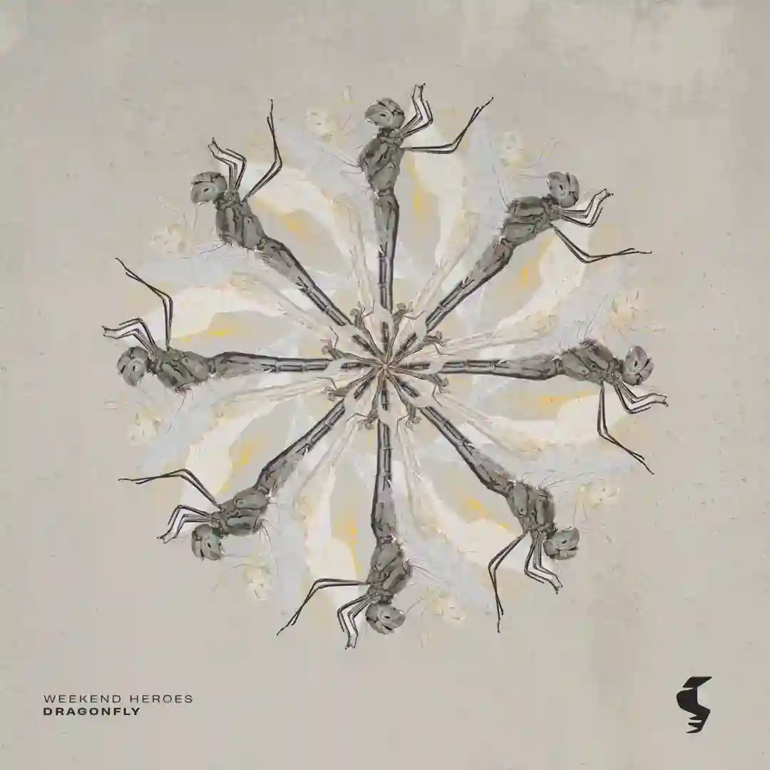 Dragonfly cover