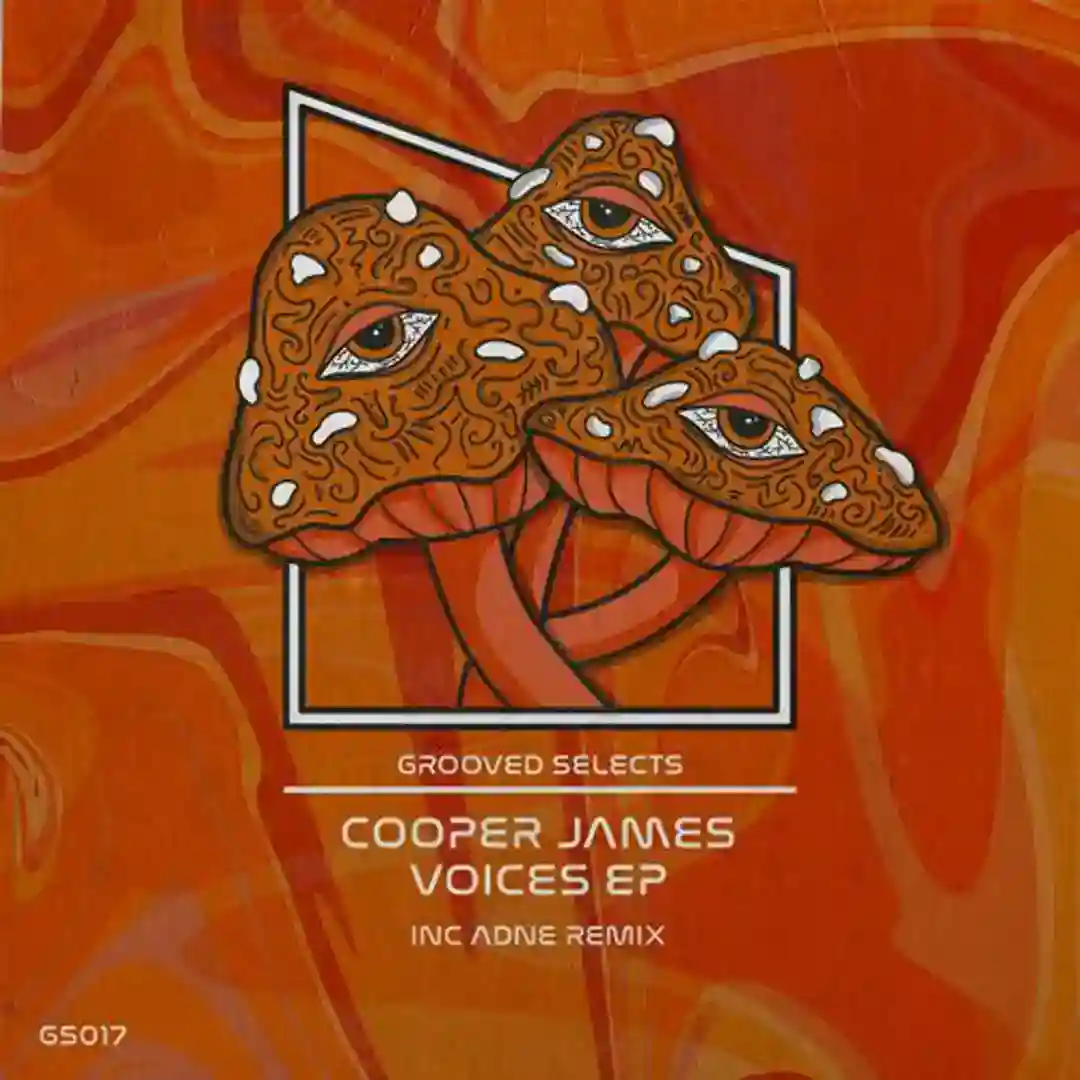 Voices cover