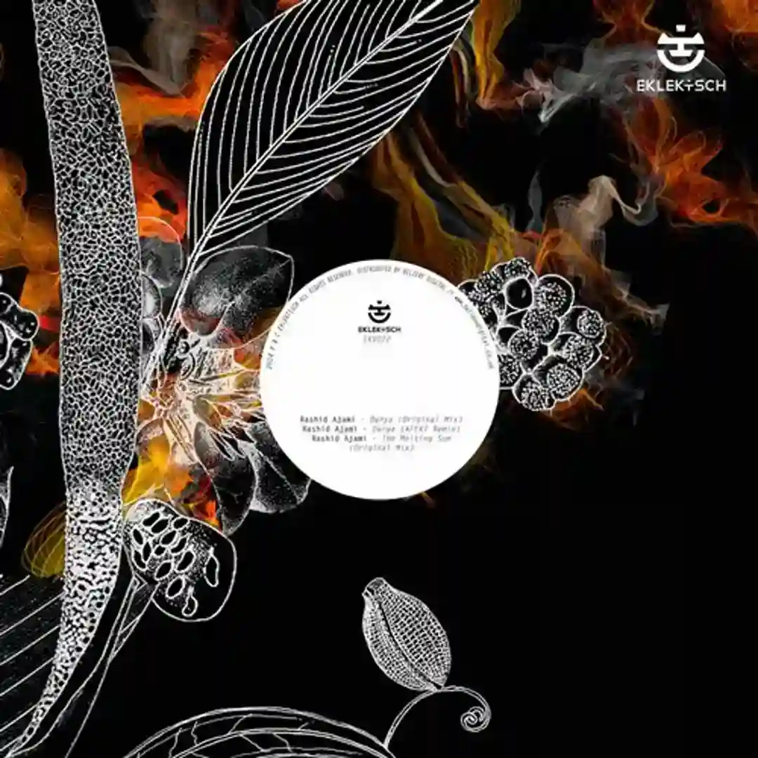 The Melting Sun (Original Mix) cover